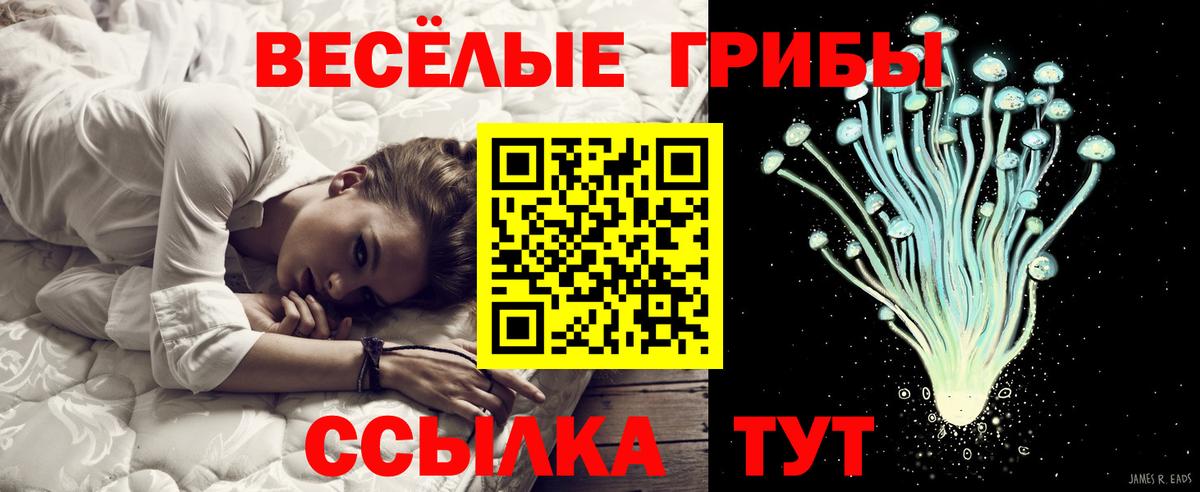 Галлюциногенные грибы Magic Shrooms Жуковский